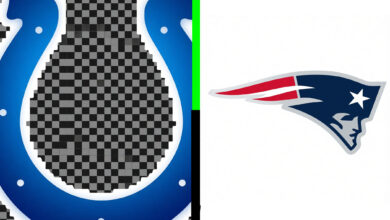 colts vs new england patriots match player stats
