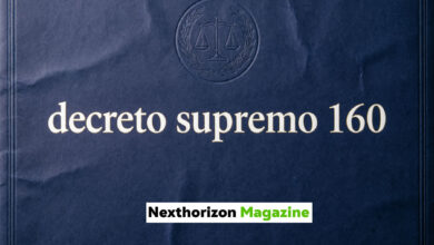 decreto supremo 160